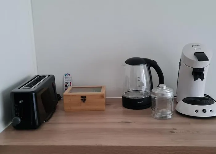 Coquet T2 Pied Bordeaux 베글레스